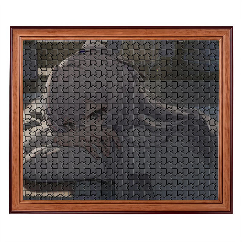 Kleurgeprinte op maat gemaakte puzzels voor educatieve en leuke speeltijd