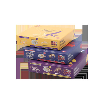 Goede prijs. Rectangular Paper Closure Game opslagdoos online