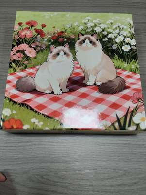 Goede prijs. Custom Printed Jigsaw Puzzles with 1000 Pieces in Various Sizes Made in Ningbo China with 7-10 Business Days Production online